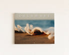 2027 Delaware Calendar cover with a wave washing over the sand