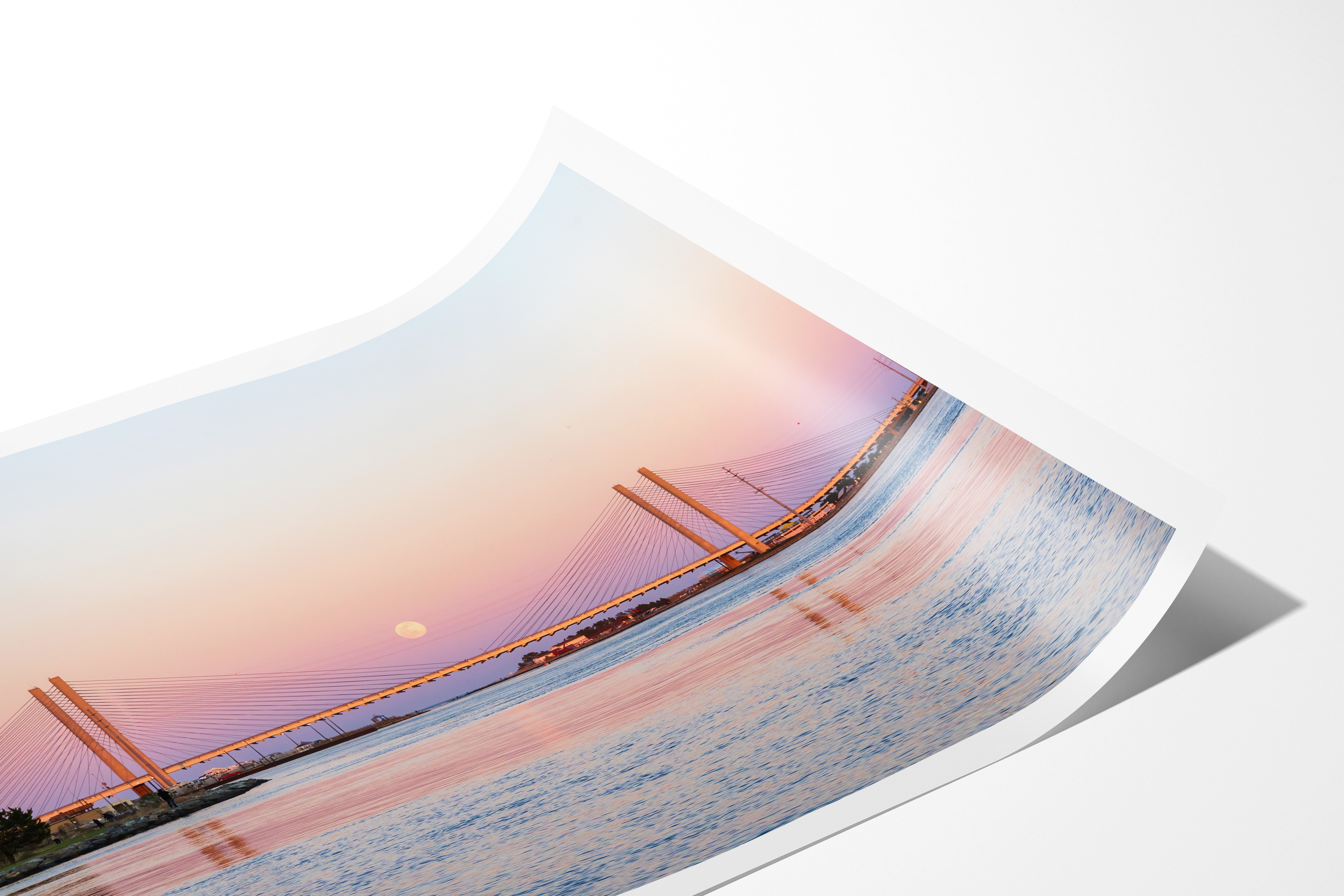 Wolf Moon Elliot MacGuire